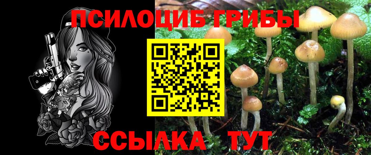 Псилоцибиновые грибы мицелий Хасавюрт